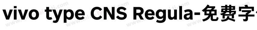 vivo type CNS Regula字体转换